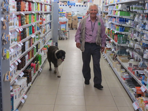 Toulavý pes v obchodě-přidal se k tomu, kdo ho nenakopl