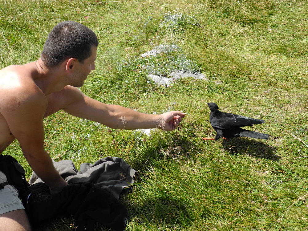 Na Otcheru si Pompe vybral ptáka, který mu zobal z ruky - Pompeho pták