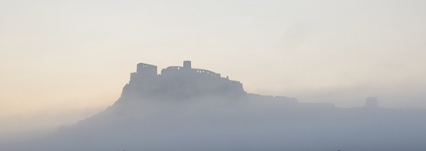 IMG_2439W.jpg