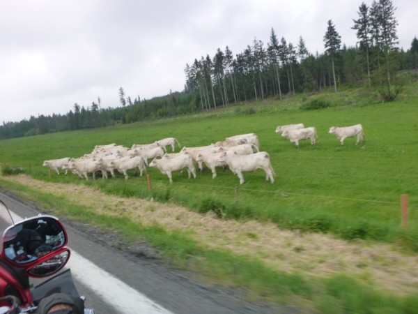 Jo, byla to PARÁDA, vždyť i ty krávy čuměly! :)
