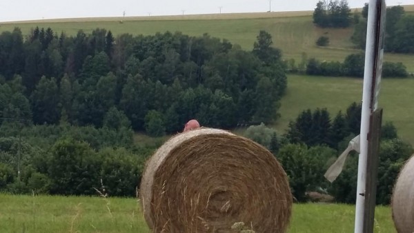 Hledá, hledá...a snad i našel. :))