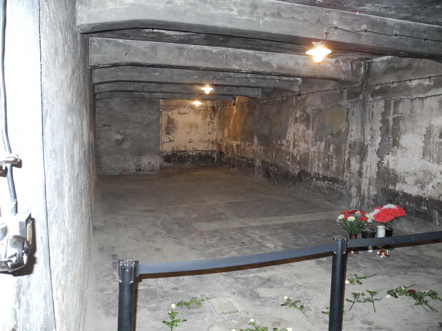 Plynová komora